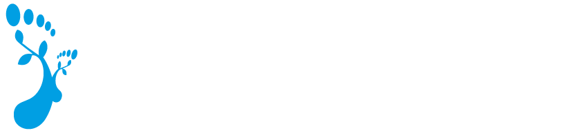 Seventeen